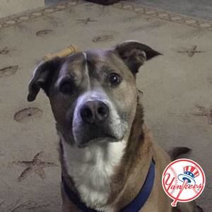 Meet your Posher, Mark